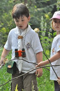 inhalte_stufen_maeuse